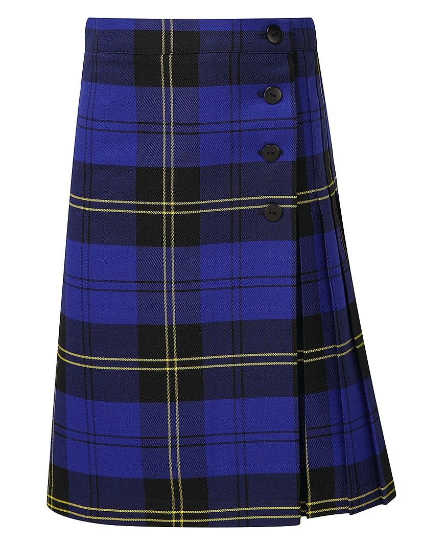 Checkered skirt blue sale
