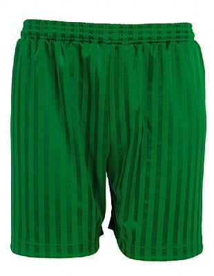 Shadow Stripe Shorts - 3BS - Image 6