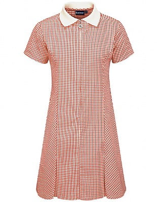 Avon Corded Gingham Dress - 913104A - Image 4