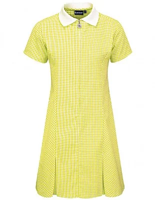 Avon Corded Gingham Dress - 913104A - Image 5