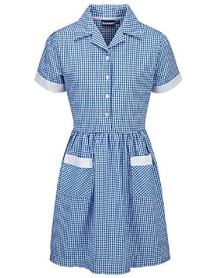 AYR CORDED GINGHAM DRESS