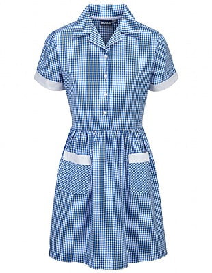 AYR CORDED GINGHAM DRESS