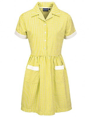 AYR CORDED GINGHAM DRESS