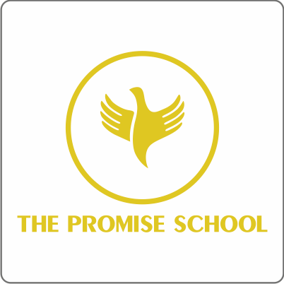 The Promise School